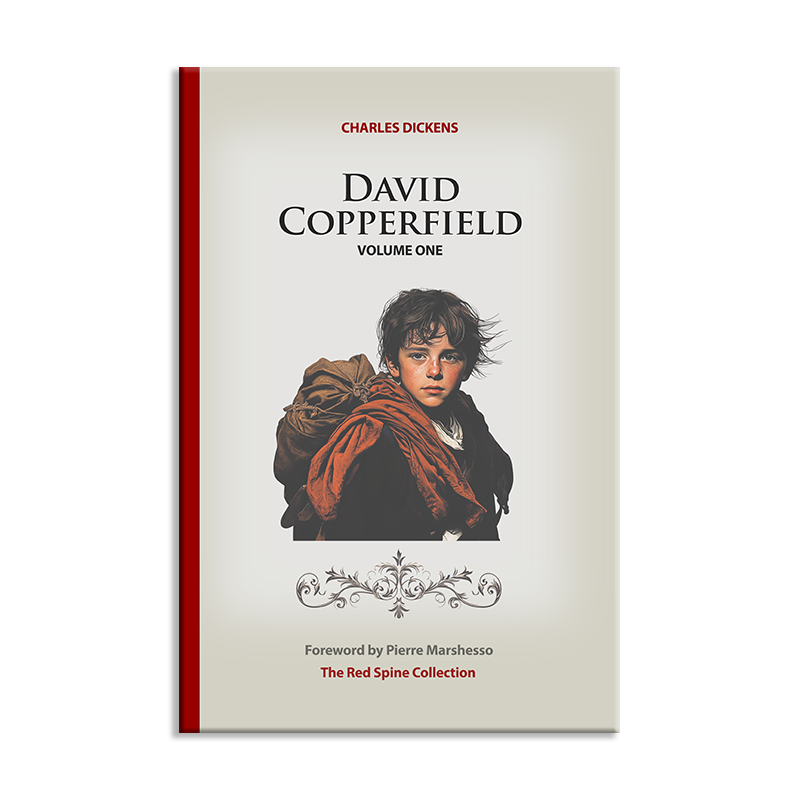 David Copperfield by Charles Dickens (Vol.1)